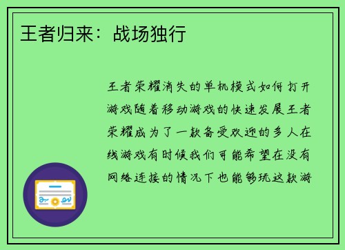 王者归来:战场独行 王者归来:战场独行